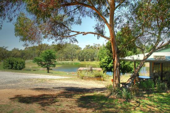 Allambie Orchard Cafe - thumb 0