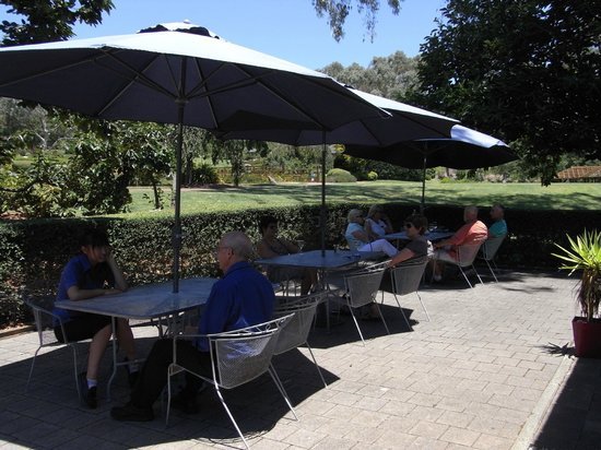 Japanese Garden Cafe - New South Wales Tourism 