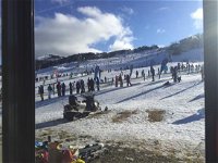 Snow Gums - VIC Tourism