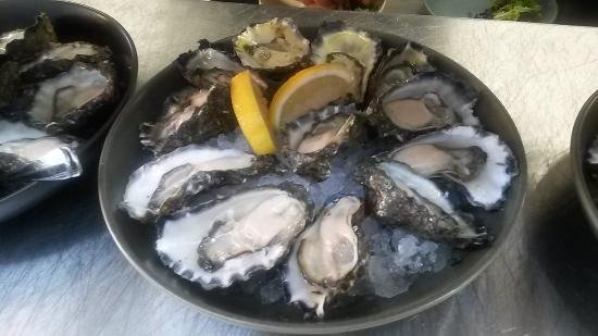 Hamilton's Oyster Bar - New South Wales Tourism 