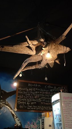 Blackfish Cafe - New South Wales Tourism 