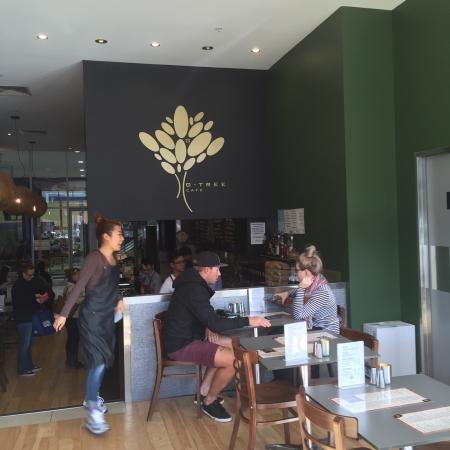 G Tree Cafe - Restaurant Canberra