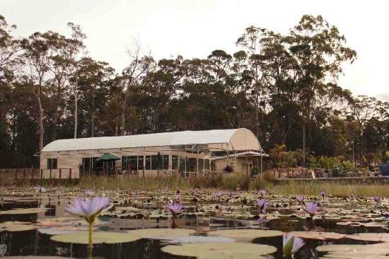 Abundance Cafe and Garden Centre - Northern Rivers Accommodation