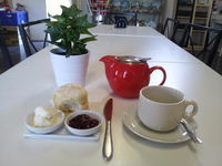 Clancy's Cafe - Nambucca Heads Accommodation