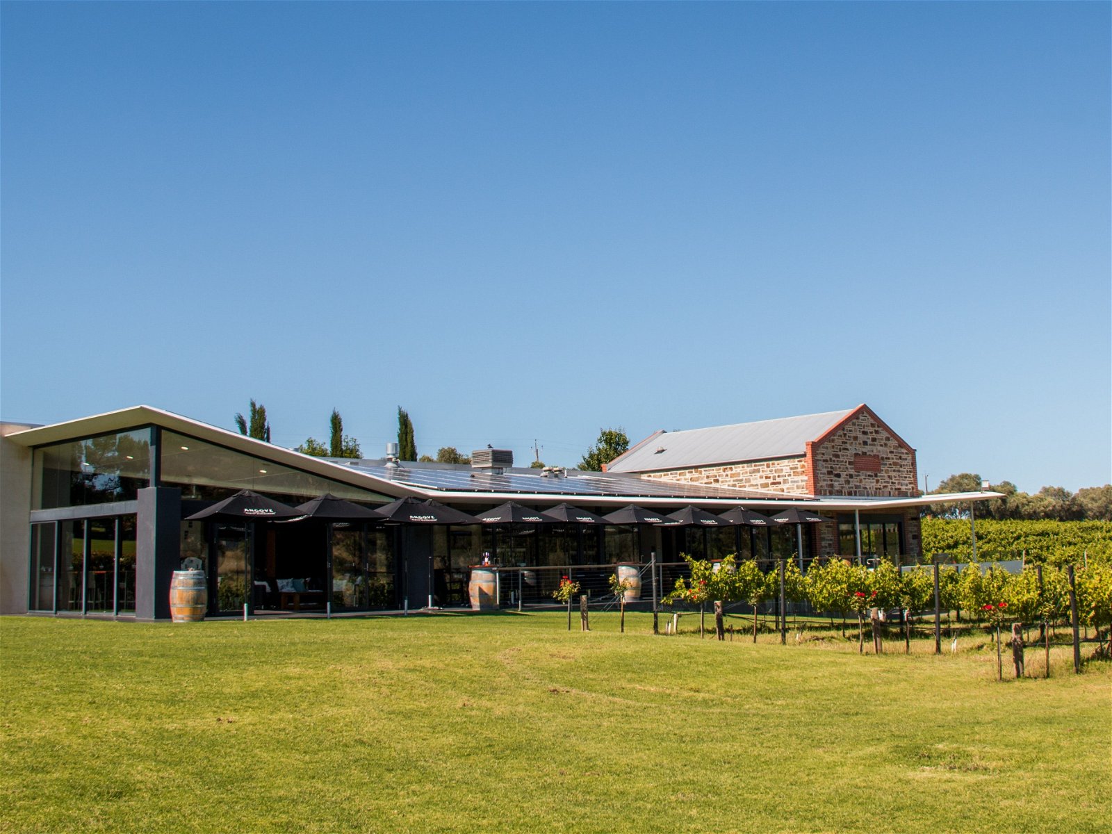 Angove McLaren Vale - Northern Rivers Accommodation