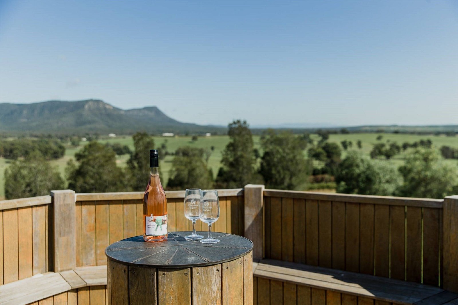 Constable Estate Vineyard - New South Wales Tourism 