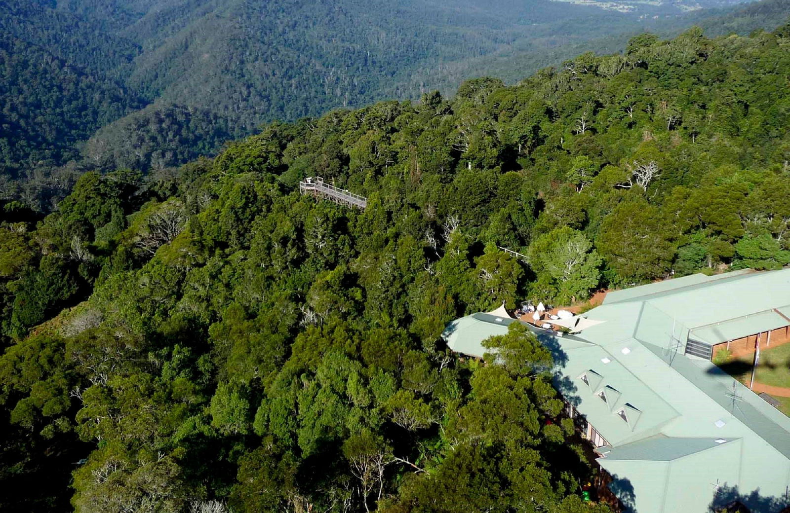 Dorrigo Mountain NSW Tourism Gold Coast