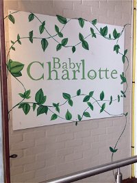 Charlotte - Accommodation Daintree