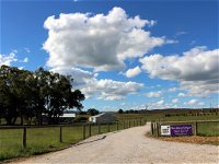 Short Sheep Micro-Winery - New South Wales Tourism 