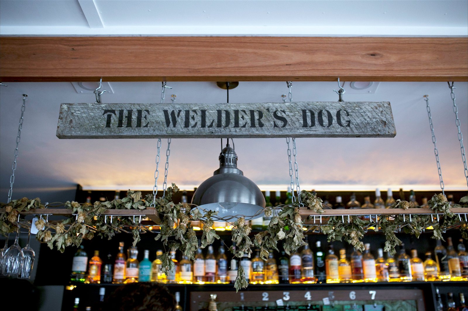 The Welders Dog
