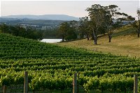 Granite Hills Winery - New South Wales Tourism 