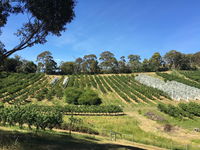 Cherrytime Orchard - Port Augusta Accommodation