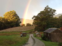 Hartzview Vineyard - Tourism Cairns