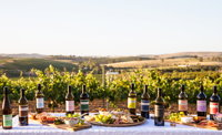 Koerner Wine - QLD Tourism