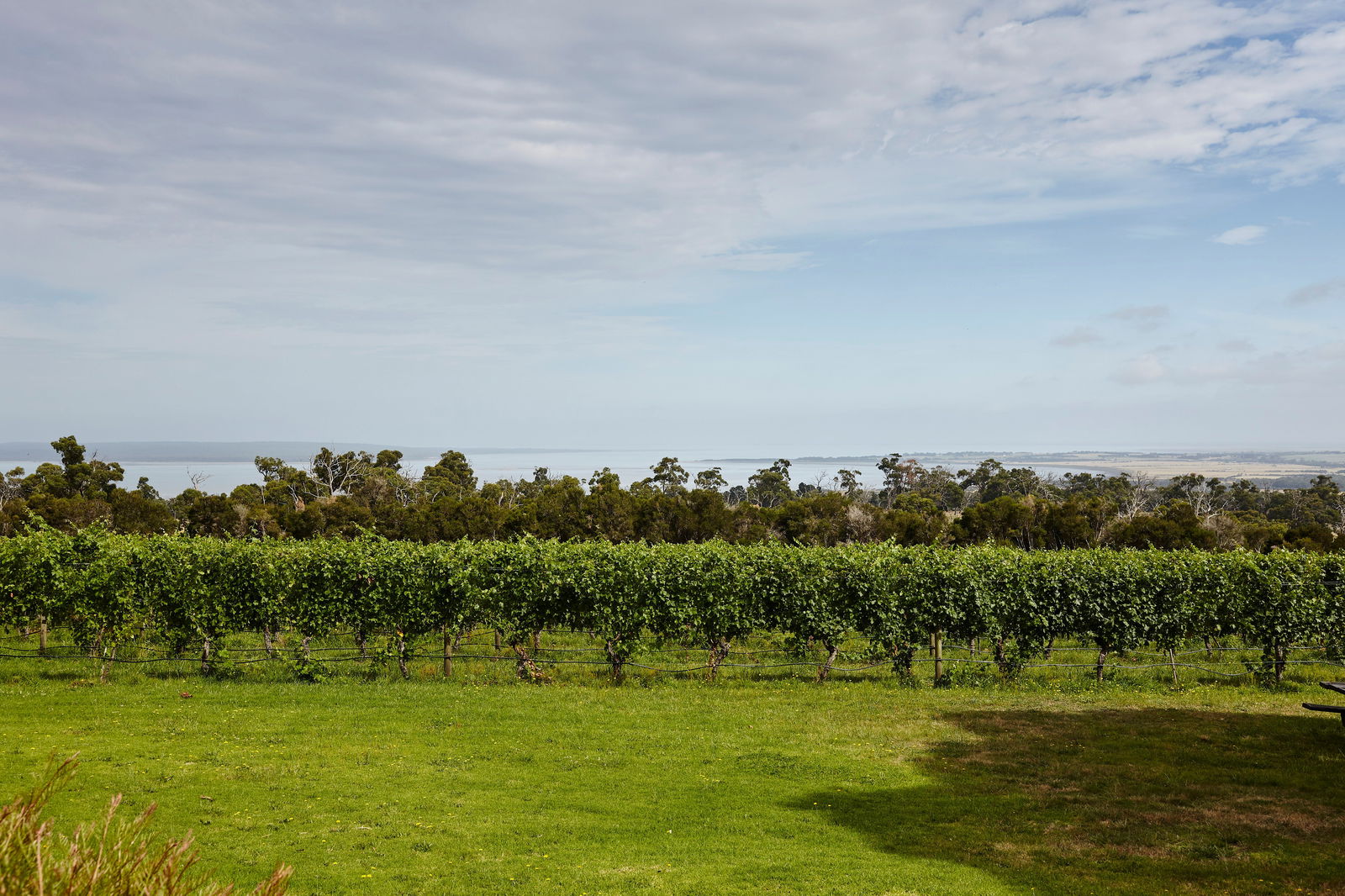 Adams Estate VIC Lightning Ridge Tourism