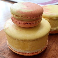 MakMak Macarons - Sydney Tourism