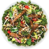 Sumo Salad - CBD