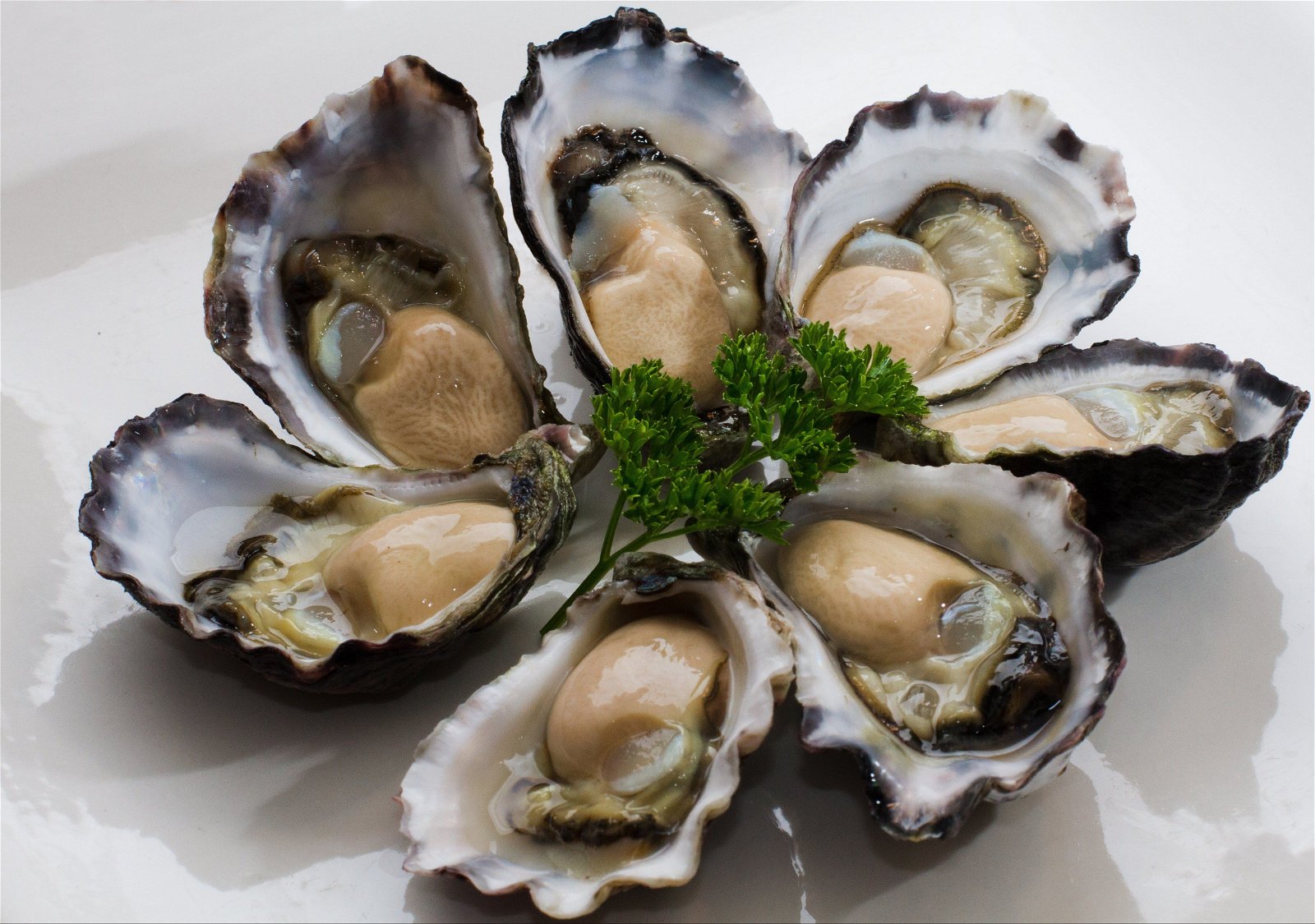 Tathra Oysters - Broome Tourism