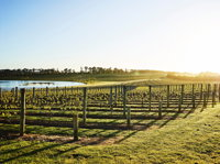 Wine Terrace and Cellar Door at Pt Leo Estate - Yamba Accommodation