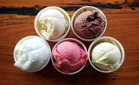 Bellingen Gelato - Accommodation Mooloolaba