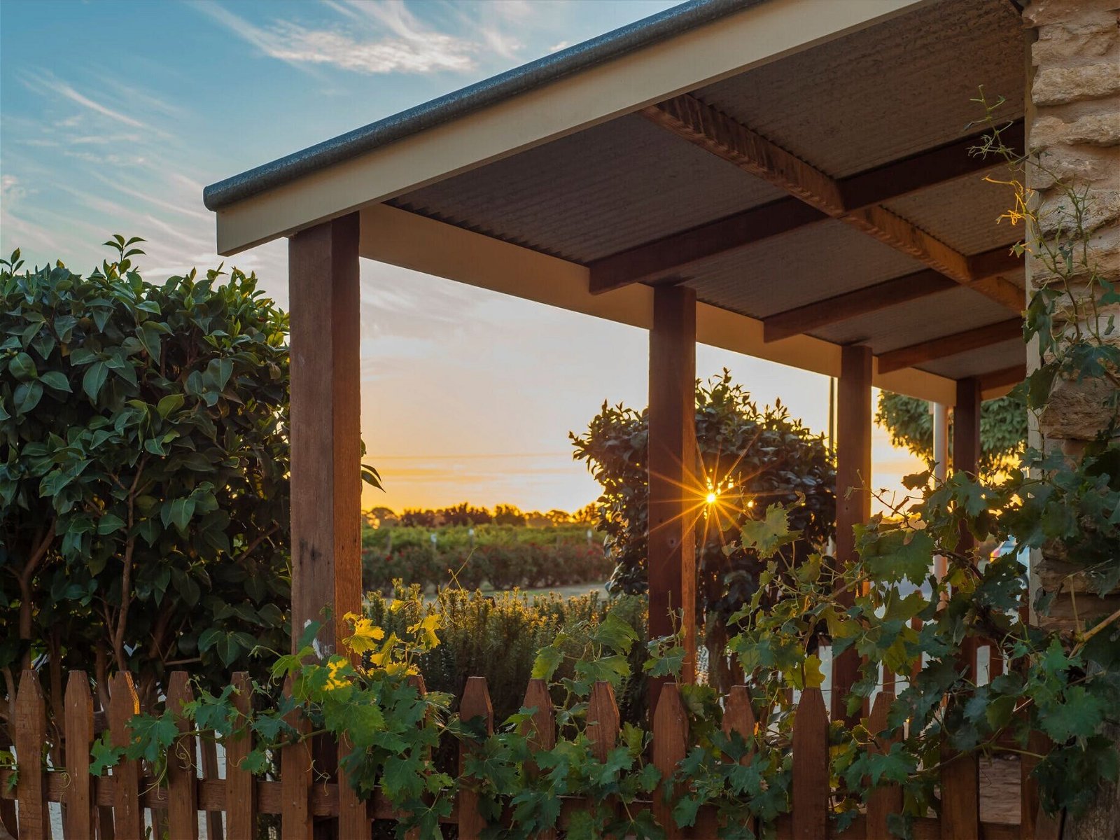 Caf in the Vines - Northern Rivers Accommodation