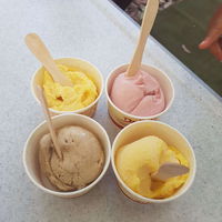 Delizia Gelato and Sorbet - Accommodation Australia