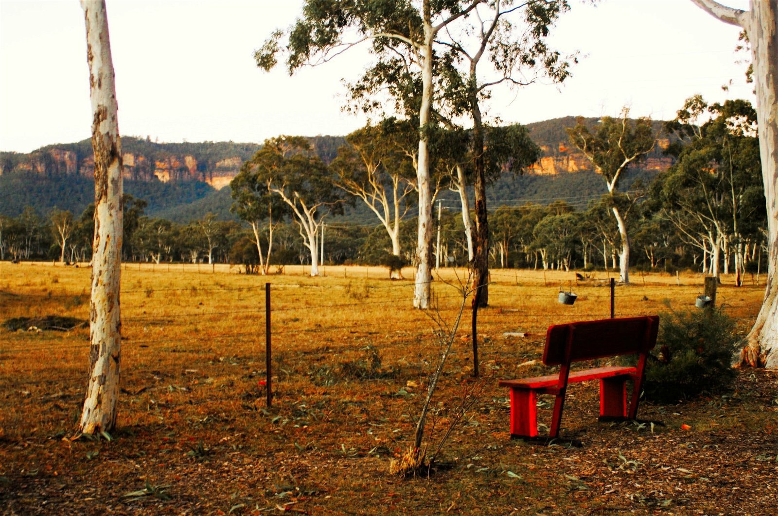 The Megalong Valley Tearooms - Accommodation BNB