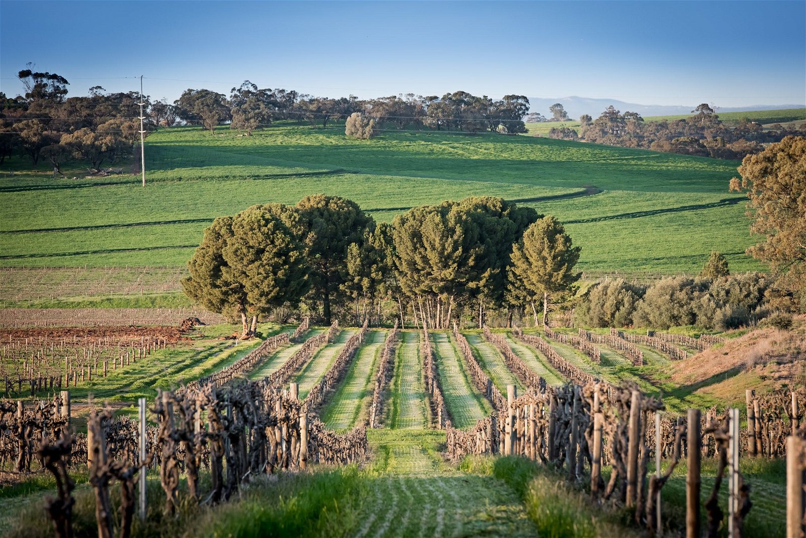 Heritage Wines - Northern Rivers Accommodation