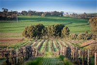 Heritage Wines - New South Wales Tourism 