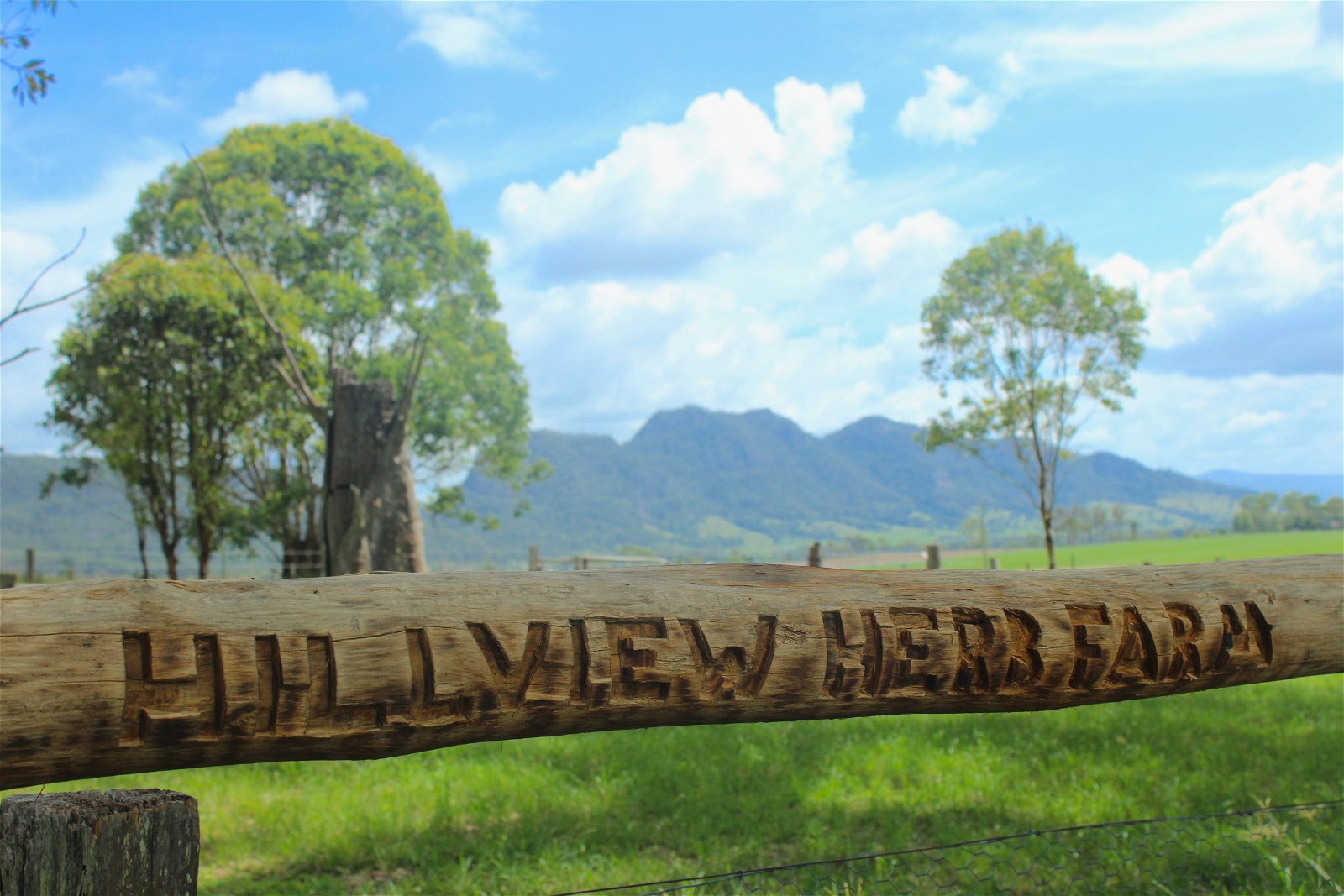 Hillview Herb Farm - Northern Rivers Accommodation