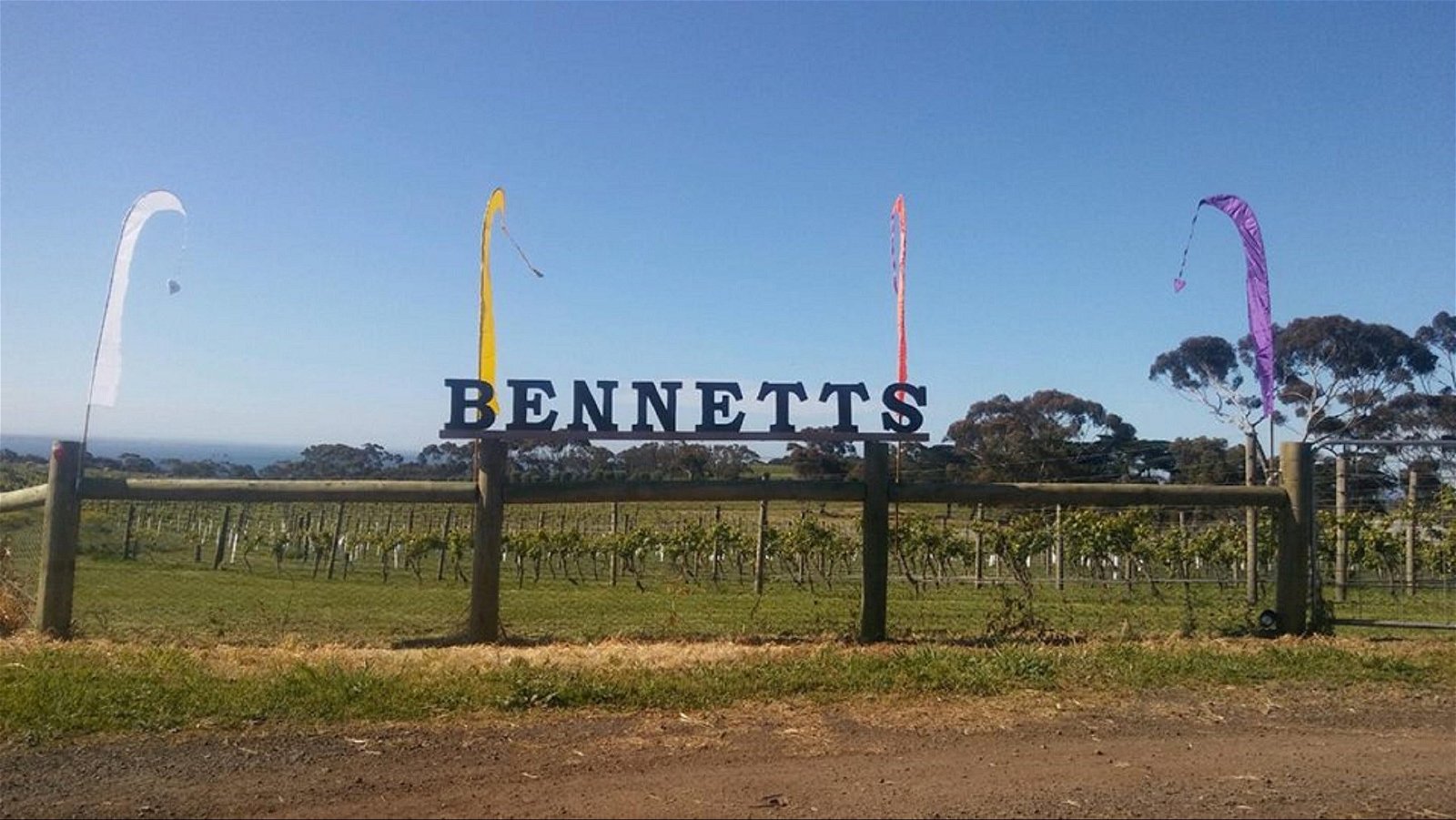 Bennetts On Bellarine Winery - Accommodation Find 1
