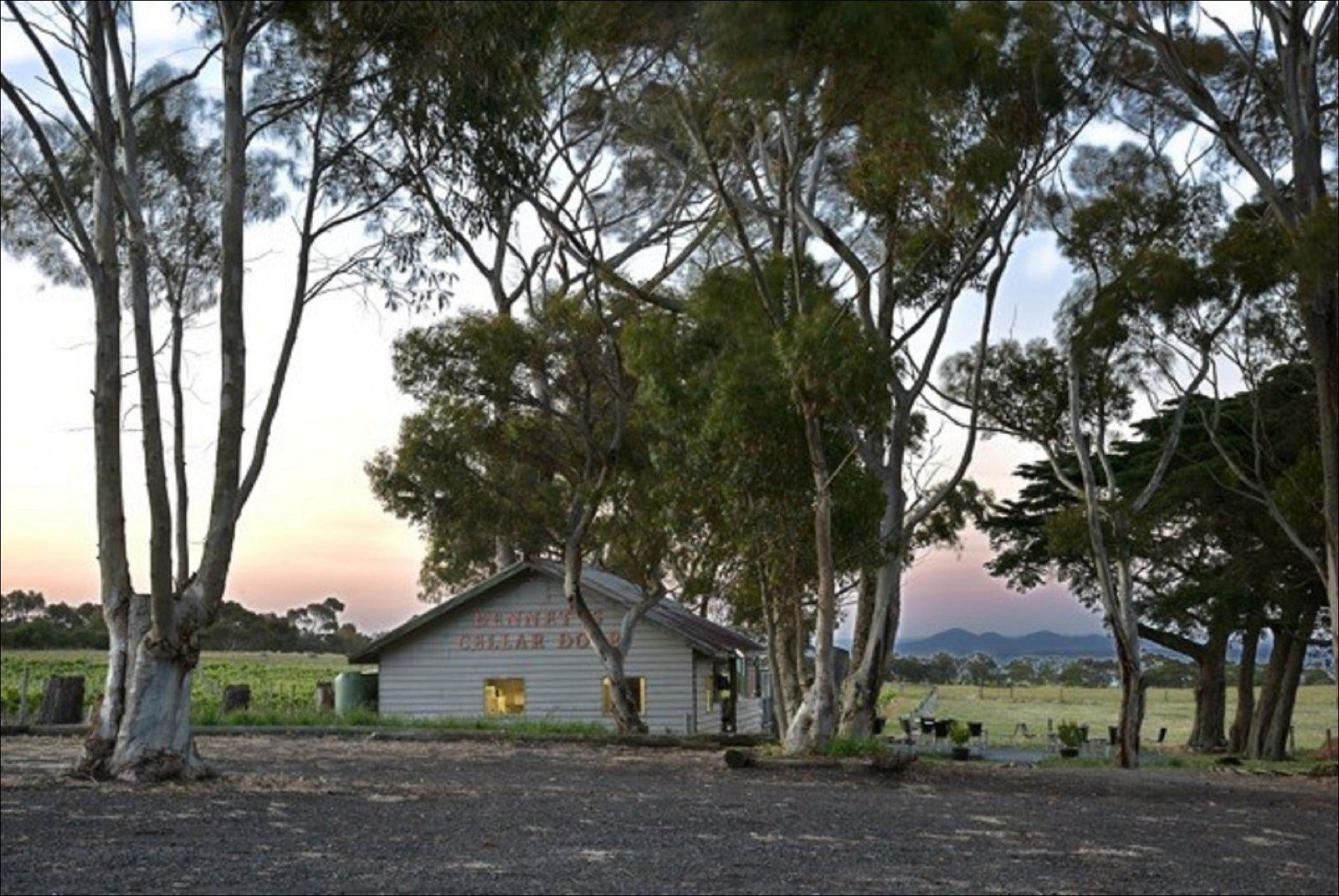 Bennetts On Bellarine Winery - Accommodation Find 2