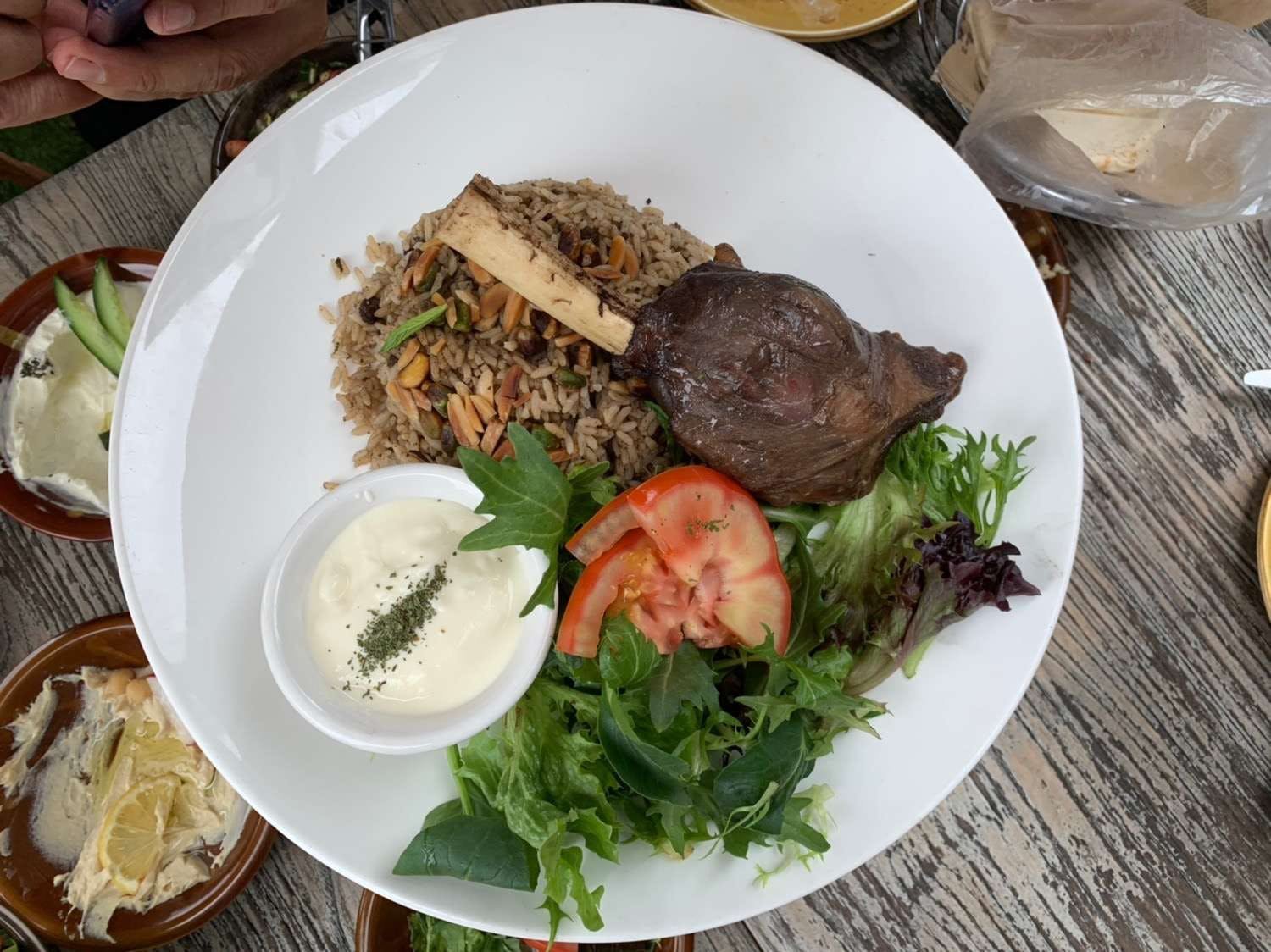 Cedrus Lebanese Restaurant - Ryde - New South Wales Tourism 