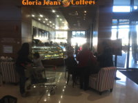Gloria Jean's Coffee - Helensvale - Tourism Noosa