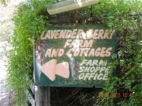 Lavender and Berry Farm Cafe - Accommodation Bookings