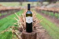 Lost Penny Wines - Geraldton Accommodation