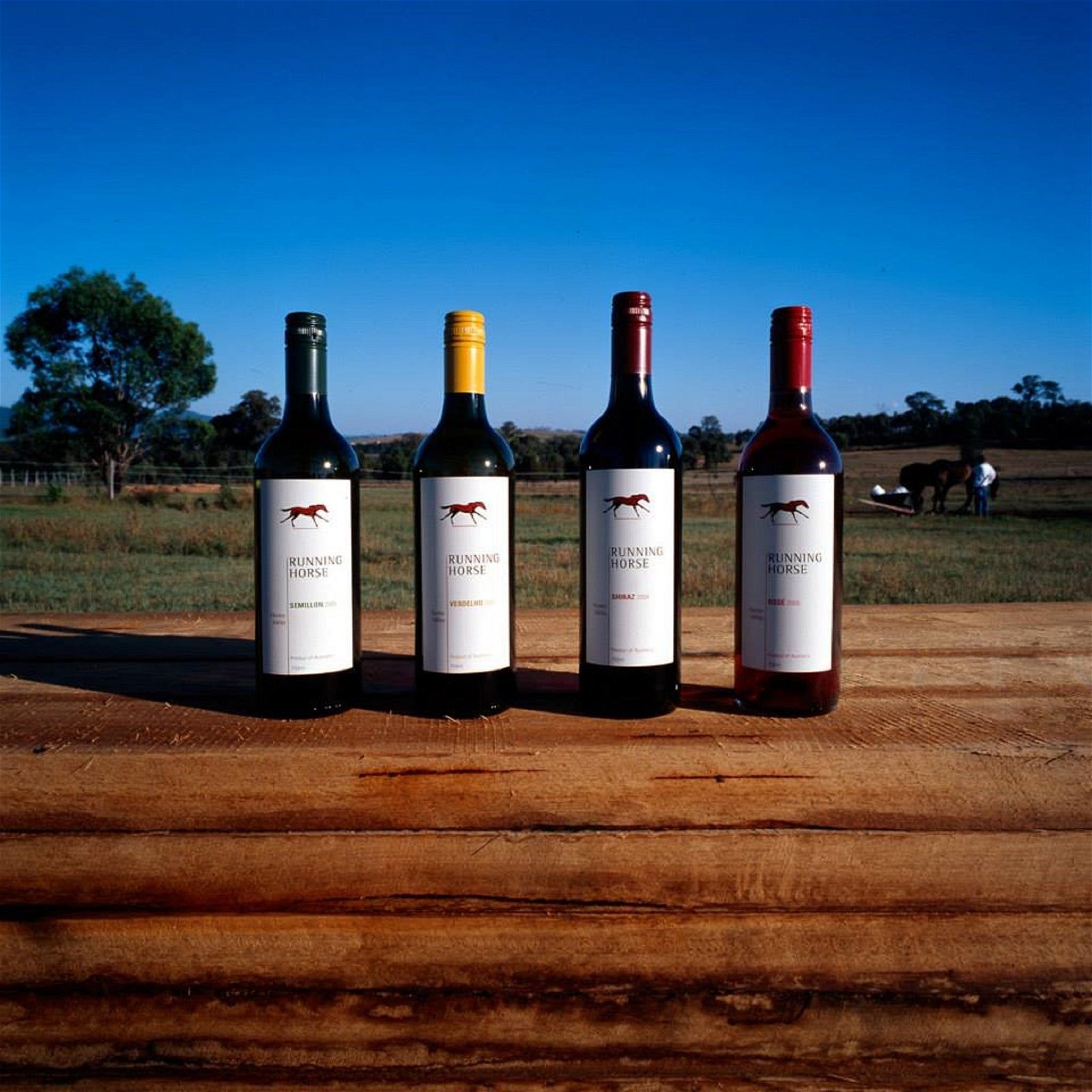 Running Horse Wines - Accommodation Find 2