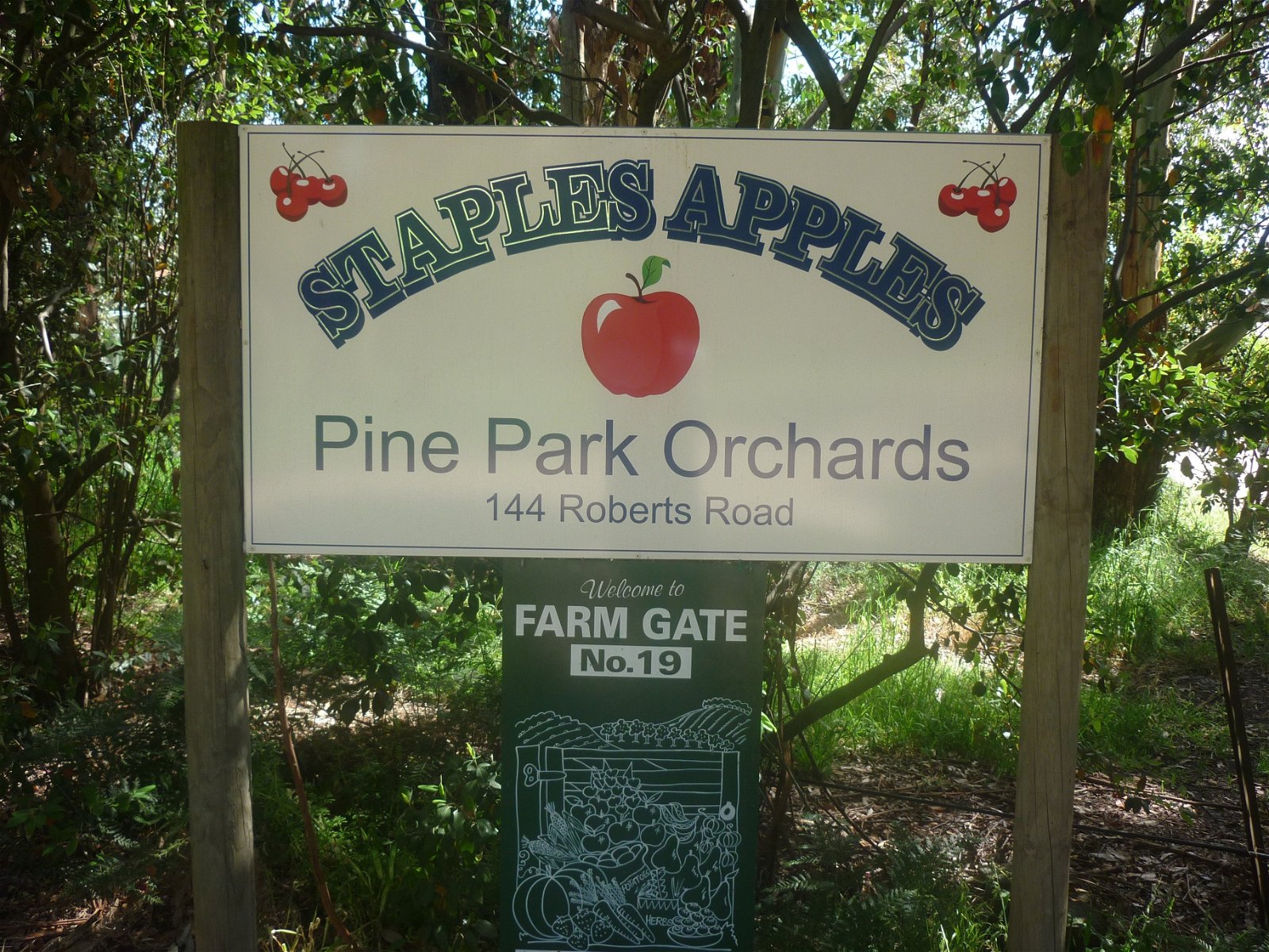 Staples Apples - Timeshare Accommodation 2