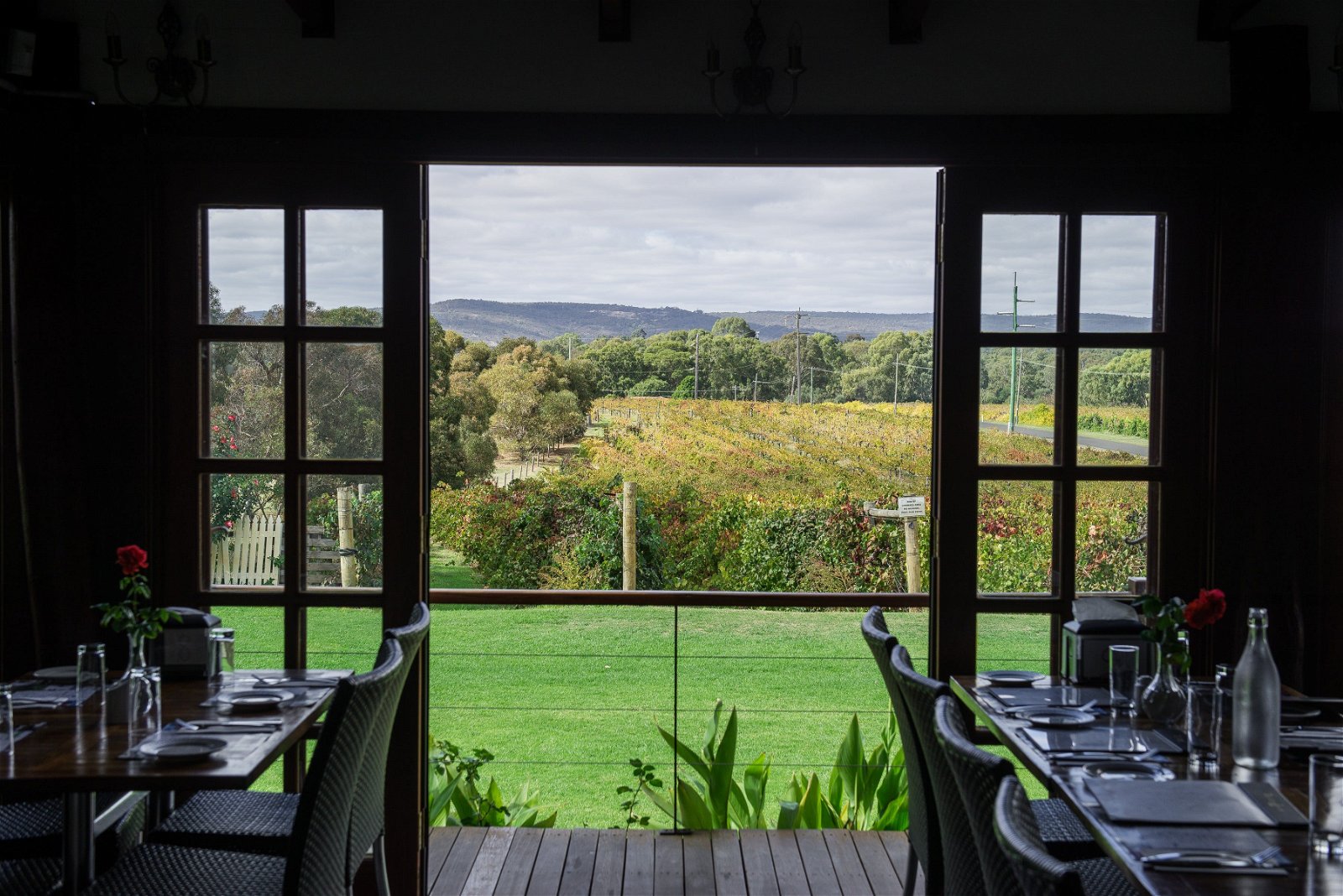 Black Swan Winery and Restaurant - Australia Accommodation