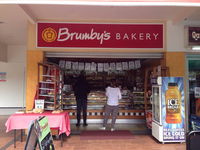 Brumby's - The Gap - Sunshine Coast Tourism