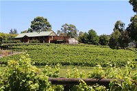 djinta djinta Winery - Accommodation Tasmania