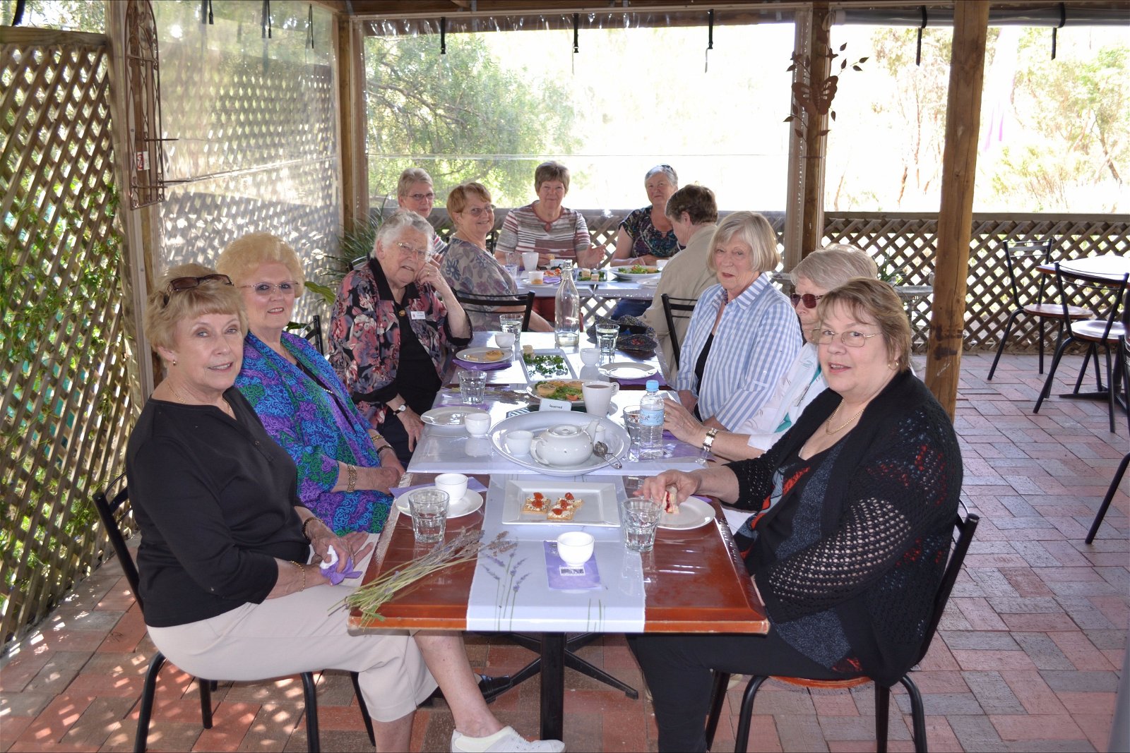 Lyndoch Lavender Farm Cafe - New South Wales Tourism 