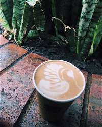 Milk  Froth - Clayfield - QLD Tourism