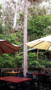 Rainforest Cafe - Bundaberg Accommodation