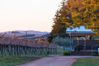 Rowlee Wines - Accommodation Tasmania