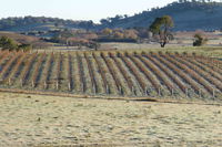 Patina Wines - Broome Tourism