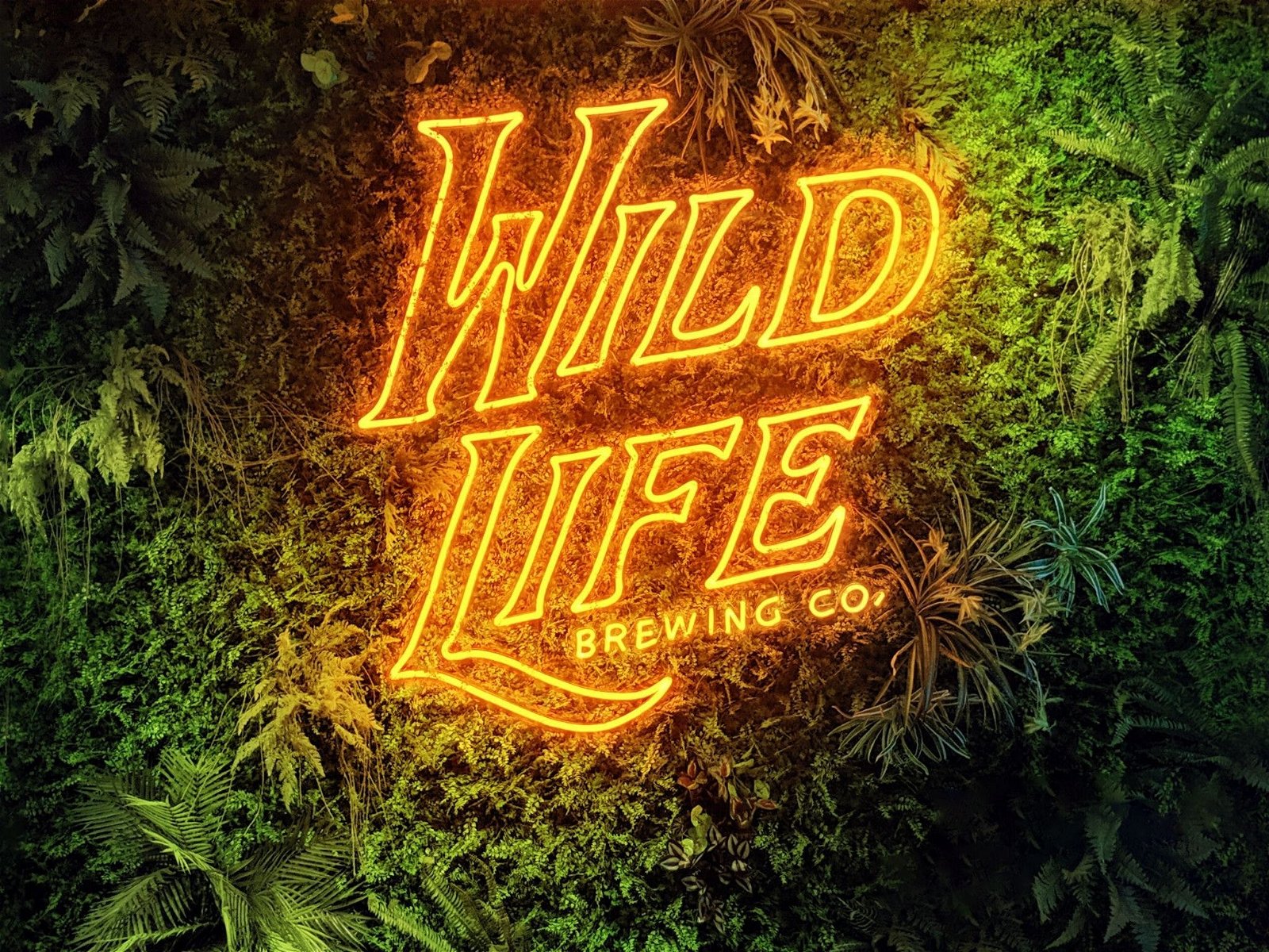 Wild Life Brewing Co. - New South Wales Tourism 
