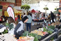 Wyong City Farmers Market - New South Wales Tourism 