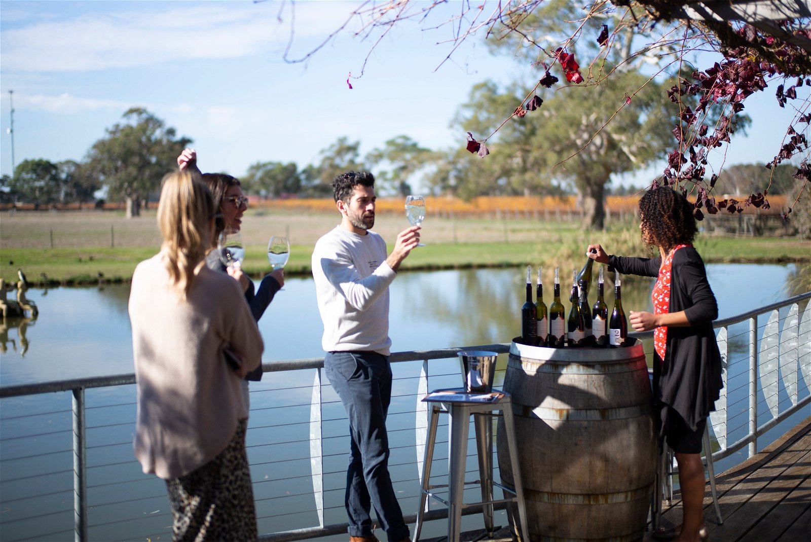 Balnaves of Coonawarra - New South Wales Tourism 