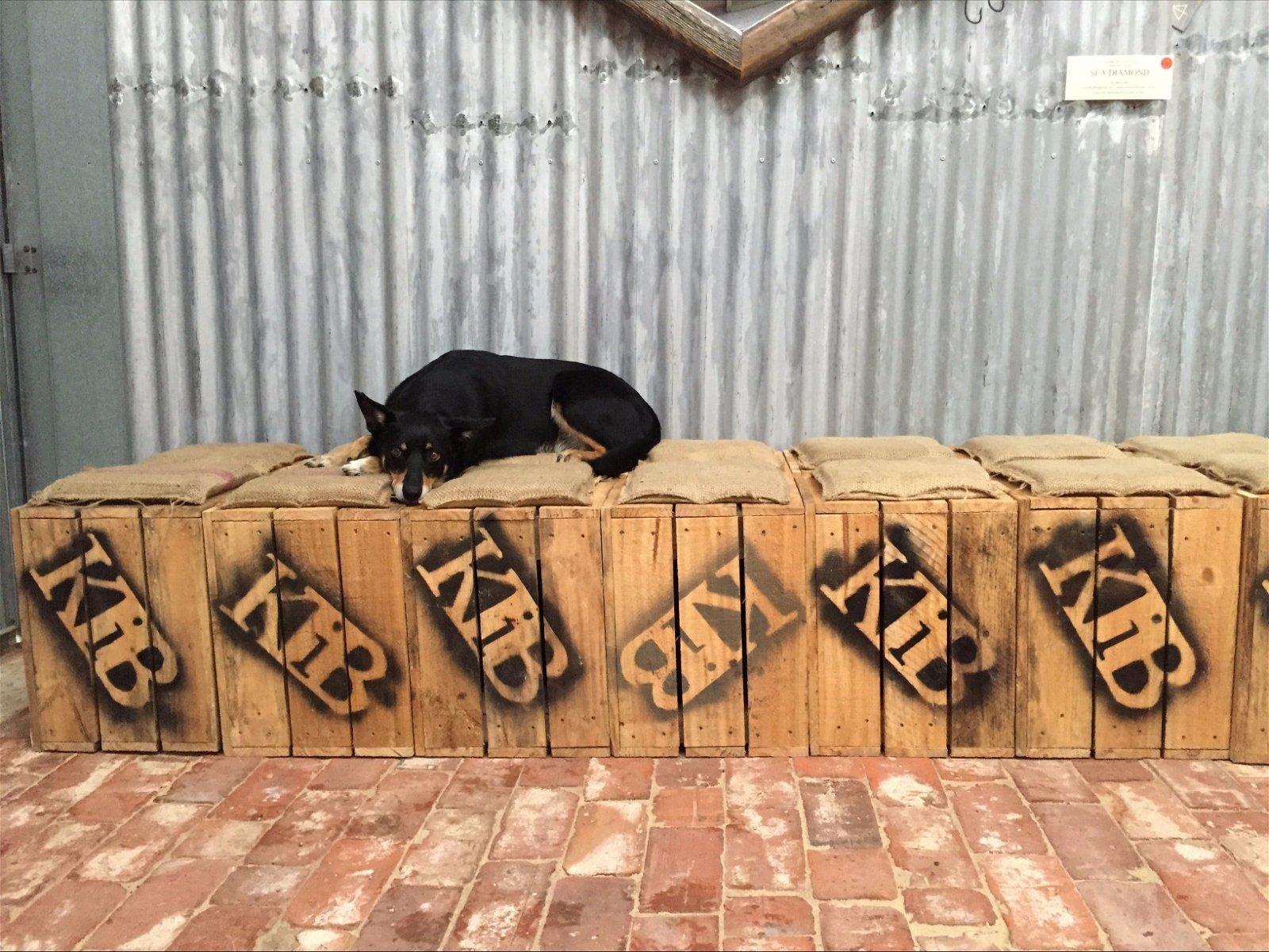 Kangaroo Island Brewery - Food Delivery Shop